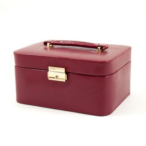 Quinn Jewelry Case